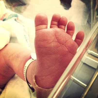 3823_10151211377027001_1426985098_n