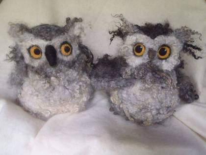 1506511_624043364323539_1837238830_n