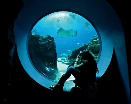 1509224_10153752952260354_1426972334_n