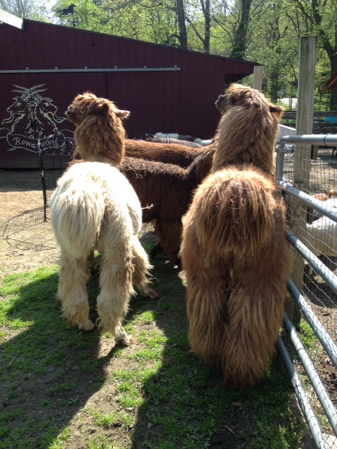 securedownload-11 copy