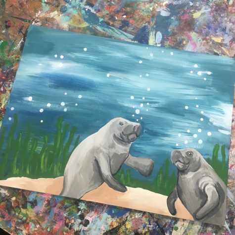 img_2456-e1519356320288