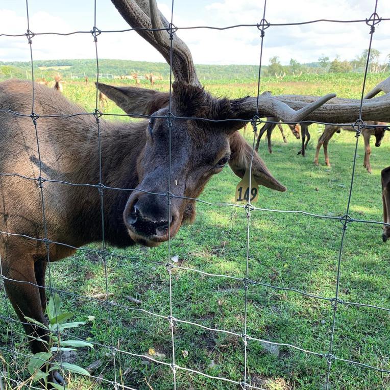 69470022_2505467849520966_7497149041923325952_o